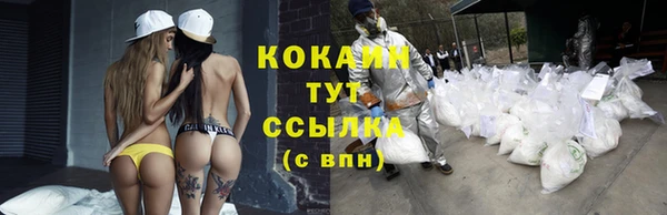 мдпв Дмитровск