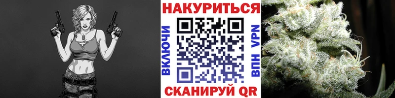 Шишки марихуана OG Kush  Купить закладки  Нестеров 